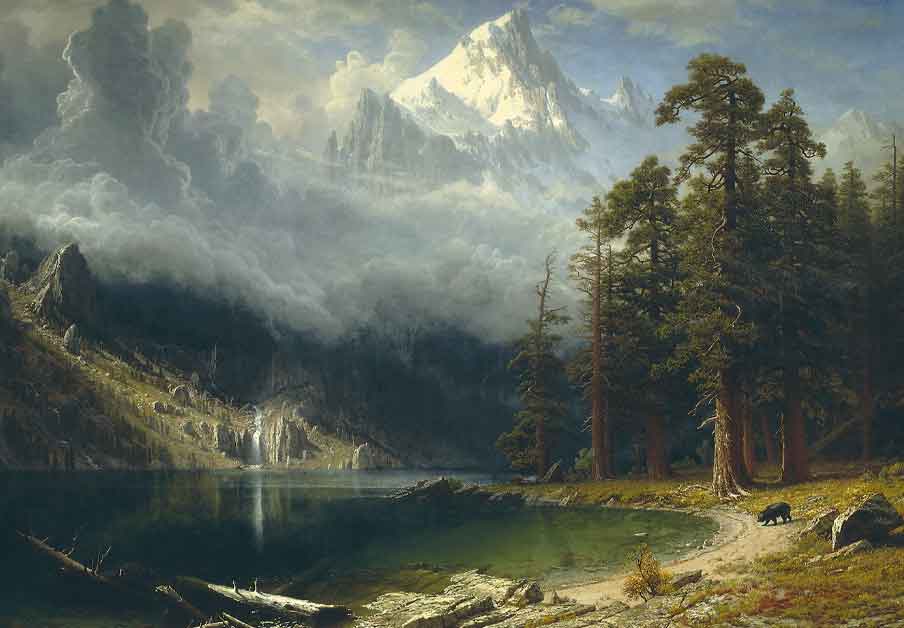 توماس کول