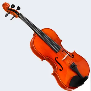 ویولن
